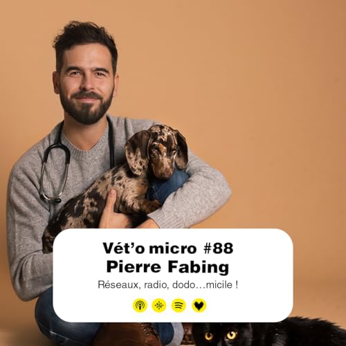 REDIFFUSION &Eacute;pisode #88 - Pierre Fabing - R&eacute;seaux, radio, dodo&hellip;micile ! copertina