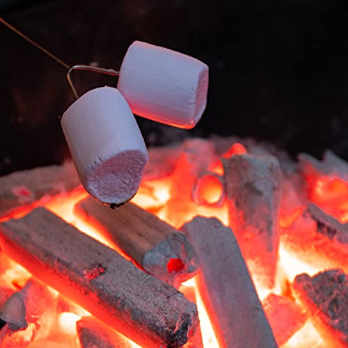 Bambus-Kohle | 10kg Perfekte BBQ-Briketts | Lange Brenndauer | Kein Rauch Und Geruchlos | Restaurantkohle… – Bild 7