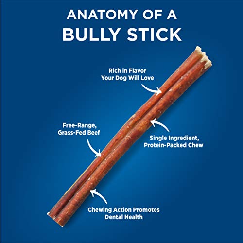 Barkworthies Odor-Free 12-Inch Bully Sticks (3 Pack) - Healthy Dog Chews - Protein-Packed, Highly Digestible, All-Natural Rawhide Alternative Dog Treats - Promotes Dental Health #TOP1