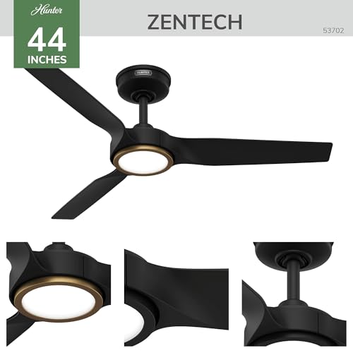 Ceiling Fan with Lights