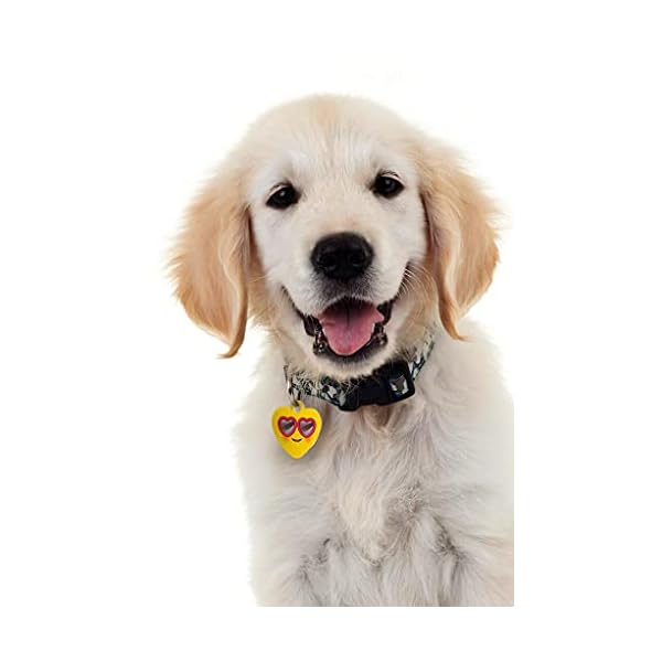 Dynotag Web Enabled Super Pet ID Smart Tag with DynoIQ & Lifetime Recovery Service. Play Series: Deluxe Coated Steel – Heart (Heart Shades) Dynotag Web Enabled Super Pet ID Smart Tag with DynoIQ & Lifetime Recovery Service. Play Series: Deluxe Coated Steel – Heart (Heart Shades)