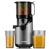 GDOR Large Feed Chute 5.3' Masticating Juicer, Self Feeding Cold Press Juicer with 250W Motor, Slow Juicer Machines, Juice Extractor for Whole Fruits & Vegetables, Heavy Duty, Easy to clean, Grey
