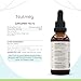 Nutmeg B60 Alcohol-Free Herbal Extract Tincture, Nutmeg (Myristica Fragrans) Dried Nut (2 fl oz)