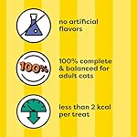 Temptations MixUps Catnip Fever Flavor Crunchy and Soft Cat Treats, 16 oz. Tub - Image 3