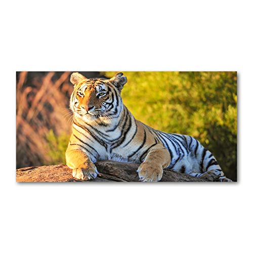 Tirages sur toile de tigre 100x50 cm pour dynamiser un grand mur blanc
