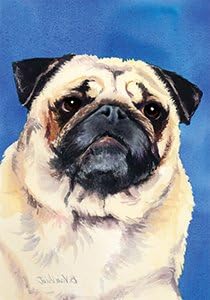 Best of Breed Pug Fawn - Barbara Van Vliet Large Flag