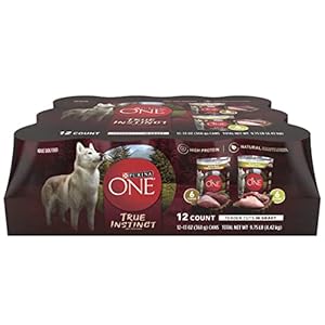 Purina ONE True Instinct Tender Cuts in Gravy With Real Turkey and Venison, and With Real Chicken and Duck High Protein Wet Dog Food Variety Pack – (Pack of 12) 13 oz. Cans