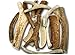 Premium Large Antler - ONE POUND (+/- an ounce) Variety Pack - Top Dog Chews High Quality!