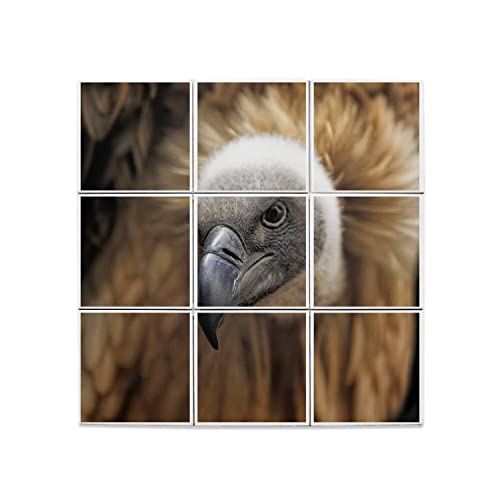 Carreaux céramique vautour fauve pour remplacer un mur blanc triste par un décor oiseau vivant