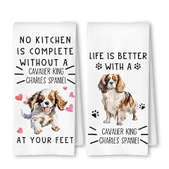 Cavalier King Life and Kitchen