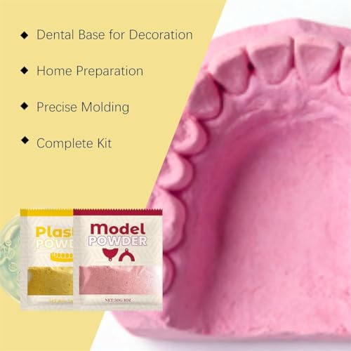 Fournitures d'artisanat en forme de dents avec gypse pour démonstration pédagogique