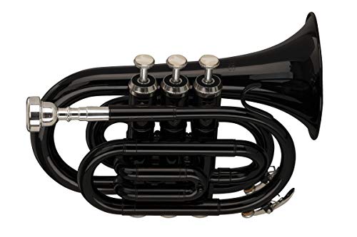 Stagg WS - TR248S Bb Black Pocket Trumpet with Case