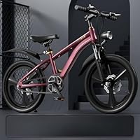 子供の自転車 オオトモ 子供用自転車 クロスバイク 22インチ 泥除け付き