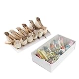 Hochsitzende Federvögel, ideal zum Verzieren von Käfigen, Bäumen, Bonsai, Tischdekorationen etc.