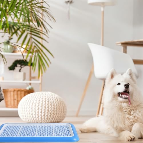 Image of Mifoci 1 Pcs Dog Potty Tray Mesh Puppy Training Pad Holder Floor Protection Portable Pee Pad Pet Toilet Training Tray Litter Box Corner for Medium and Large Dogs (25.6 x 18.9 Inch,Blue)