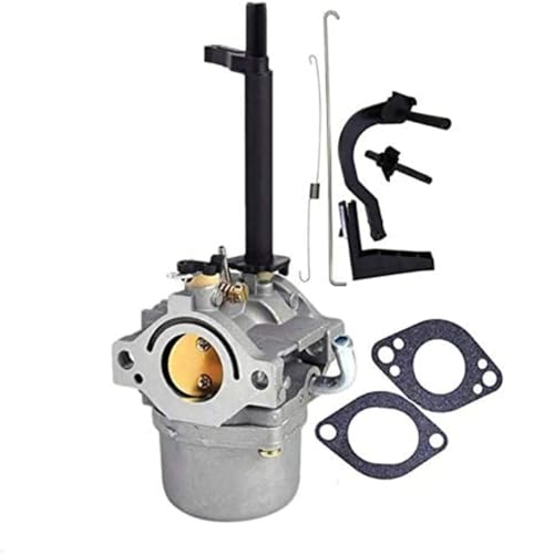 Carburateur pour souffleuse 796321 indispensable pour le déneigement