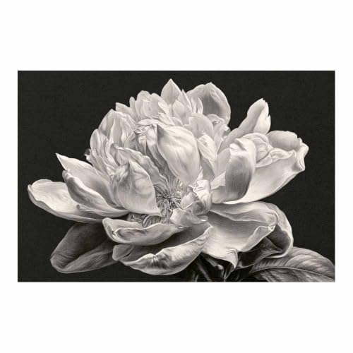 Toile murale décoration salon et chambre avec grand dessin de pivoine monochrome