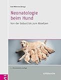 Neonatologie beim Hund: Von der Geburt bis zum Absetzen