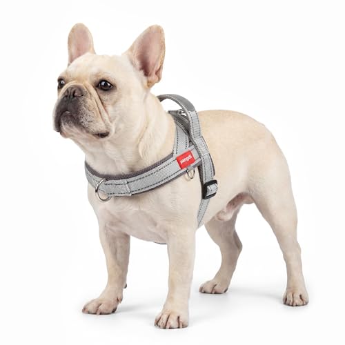 pangdi No Pull Dog Harness with Handle