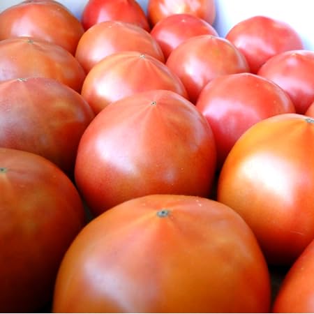 Y Yg}g3.54L ① (①)