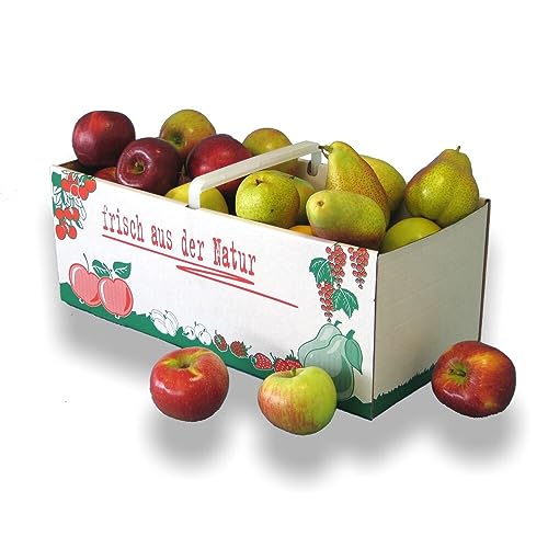 3 kg Obstkorb 'frisch aus der Natur' aus Wellpappe mit Kunststoffgriff, 371 x 157 x 140 mm, 25 Stück