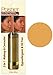 Posner Cover Stick Foundation Fair 0.35 oz