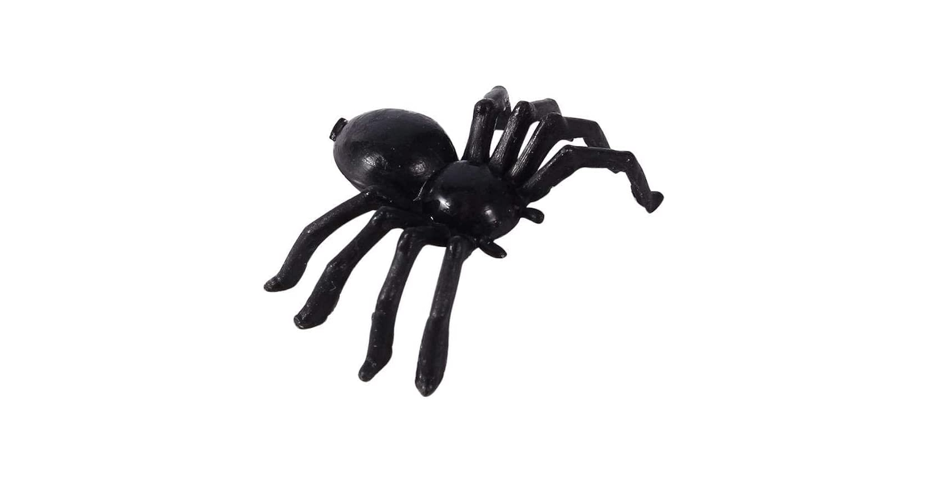 Amazon | 蜘蛛 おもちゃ 50個 スパイダーモデル 虫 おもちゃ