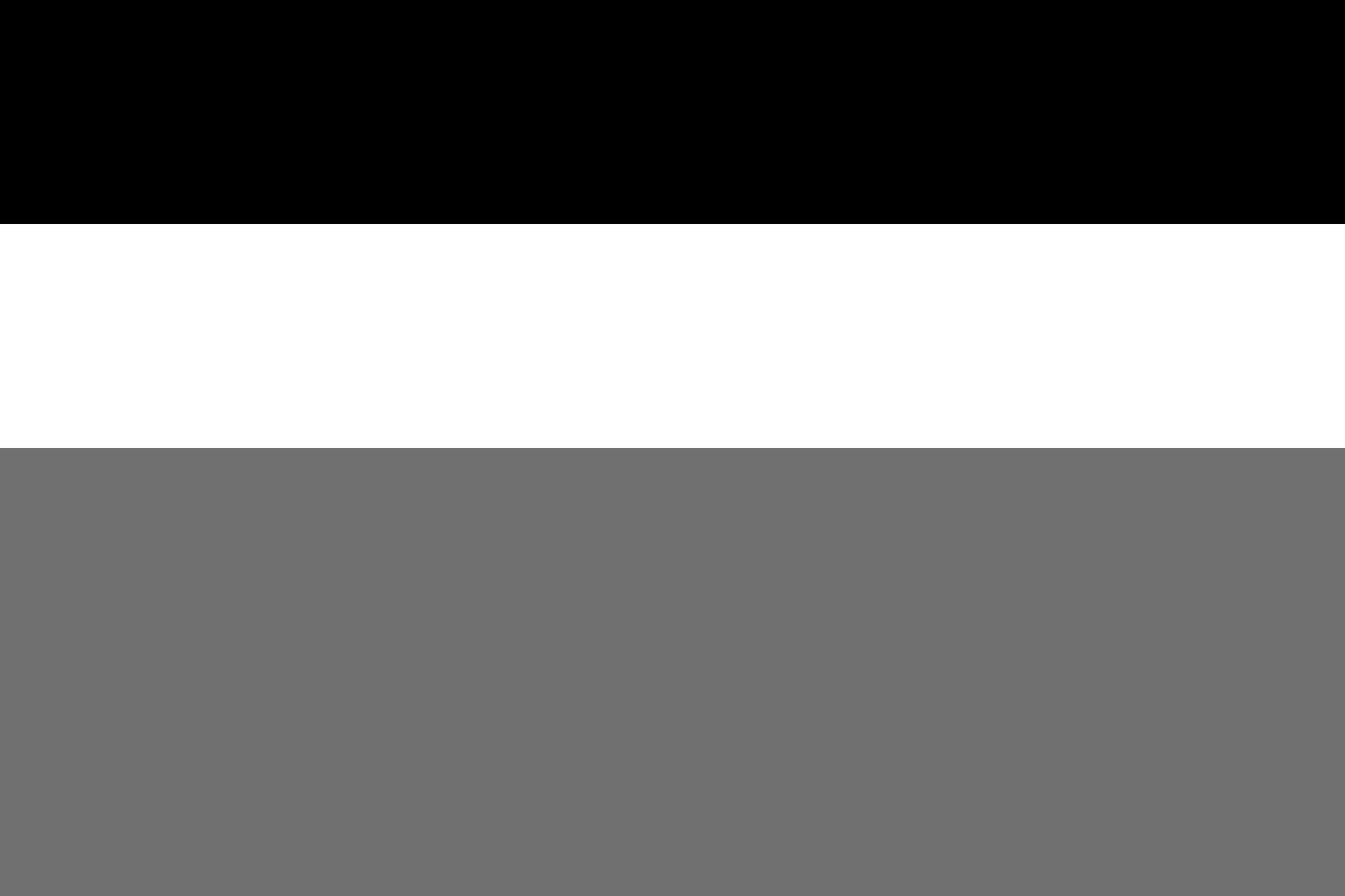 Drapeau Langue talossienne grand format paysage 1.35m² pour mât