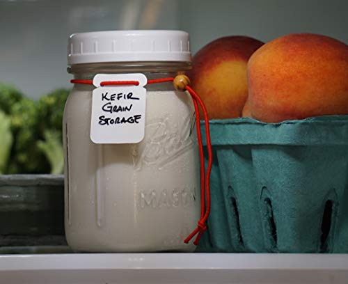 Zegghead Mason Jar Labels, Jar Tags With Elastic String Sharpie & Copic Compatible, Bottle Labels, Spice Labels, Canning Labels, Made In Usa 901750 #TOP6