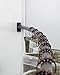 Adjustable Curved Shower Curtain Rod, Rustproof Aluminum, Adds Space and Adjusts from 36 in to 61 in, Telescoping Design, Bronze