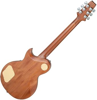 Amazon | AriaProII PE-AE200 LRBL Lorelei Blue Aria Evergreen