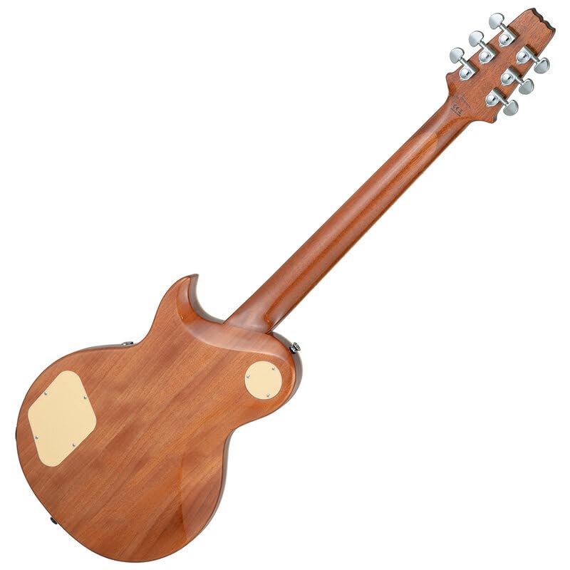 Amazon | AriaProII PE-AE200 LRBL Lorelei Blue Aria Evergreen