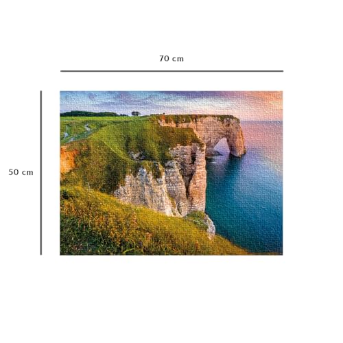 Puzzle 1000 pièces : Vue sur les falaises d'Etretat Des racines et des ailes Ravensburger Nathan - vue 7
