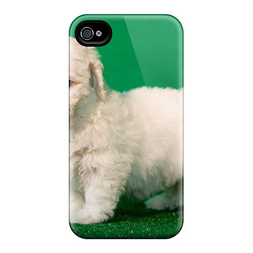 Preisvergleich Produktbild WWF - Diesel Power [VHS]