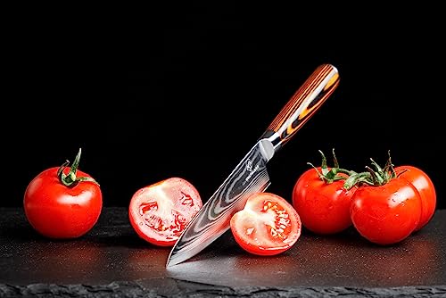 Wolfblood Damastmesser Küchenmesser L (26cm) TÜV geprüfter 62 HRC Damaststahl aus 67 Lagen I Damast-Küchenmesser Chefmesser mit Holzgriff Geschenkbox und Klingenschutz