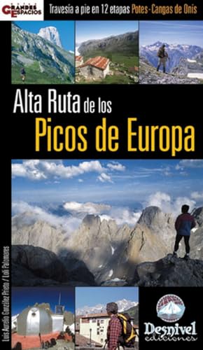 Alta ruta de los Picos de Europa: Travesía a pie en 12 etapas Potes-Cangas de Onís (Guías montañeras Desnivel)
