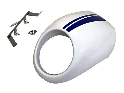 Amazon.co.jp: ワールドウォーク SV650専用ビキニカウル パールグ