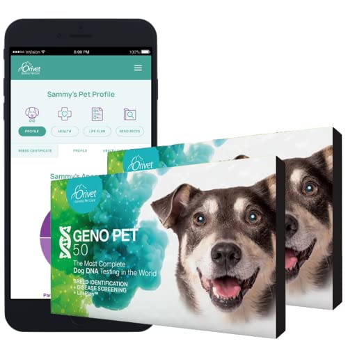 Top 10 Best Dog Breed Test Reviews & Buying Guide Katynel