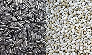 See full amazon price history chart for Nature Agro Sunflower Seeds and Safflower Seeds Mix 450 Grams for Birds (Lovebirds,Cocatails,Conure,Parrots,Budgies) Nature Agro Sunflower Seeds and Safflower Seeds Mix 450 Grams for Birds (Lovebirds,Cocatails,Conure,Parrots,Budgies) (B0C7PJWGR5) Amazon Price History, Amazon Price Tracker