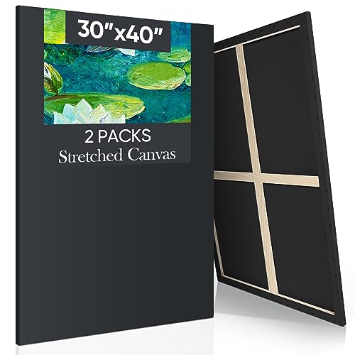 Ctosree 2 Pack Stretched Canvas