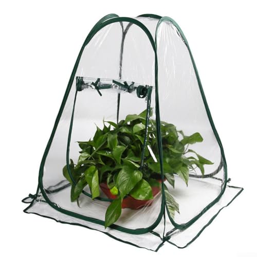 Invernadero de cúpula, mini invernaderos, pequeña casa de cultivo, con cubierta de PVC, para tomates, hortalizas y plantas