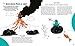75 Fantastic Physics Facts Every Kid Should Know! (Know Your Science!)