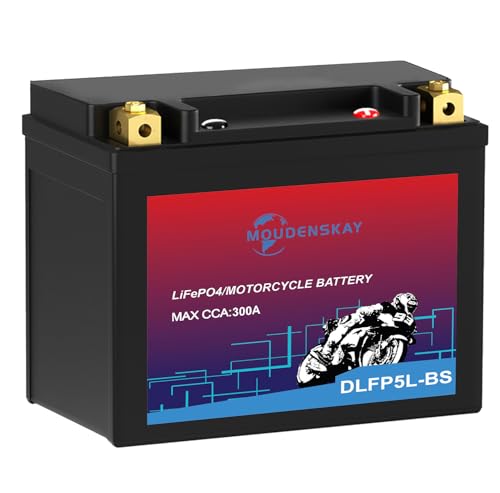MOUDENSKAY Batterie Lithium Moto 12V Lithium Powersports Batterie avec BMS,LiFePO4 Batterie de démarrage moteur pour motos,ATV,UTV,Scooter,Motoneige,4...