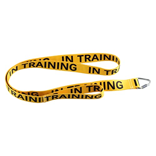 Nervous Dog In Training Dog Working Dog Lead Rescue Dogs Anxious Dogs Gift (IN- TRAINING) - Image 3