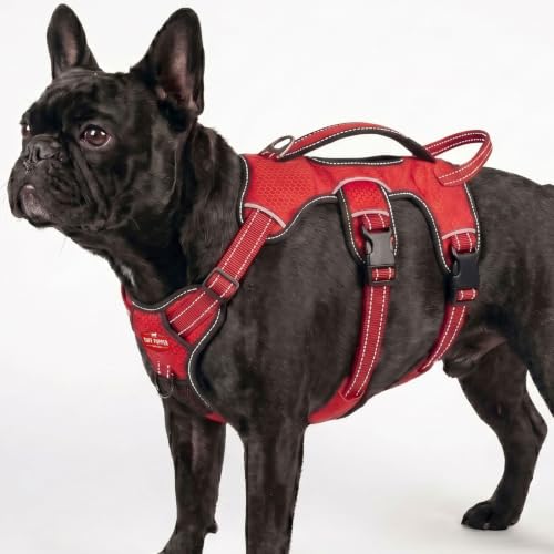 Image of Tuff Pupper Tracker No Escape Dog Harness, Dual Attachment Points, Reflective 3M Stitching, XS - XL, March Red