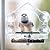 Acrylic Window Bird Feeder Strong Suction Cups with Shield Roof Drain Holes Outdoor Clear Bird House