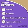 Bonide Captain Jack's Deadweed Brew, 128 oz Ready-to-Use, Controls All Types of Weeds and Grasses, For Organic Gardening