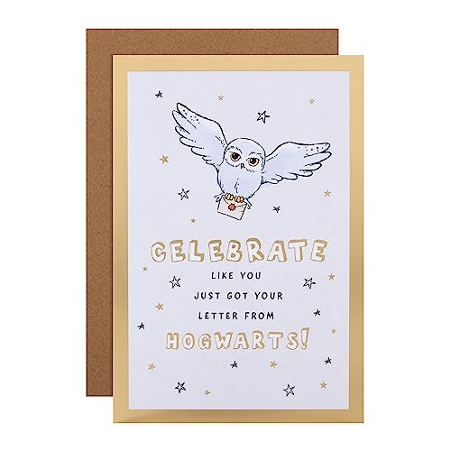 Hallmark Birthday Card - Harry Potter Hedwig Owl & Letter Design