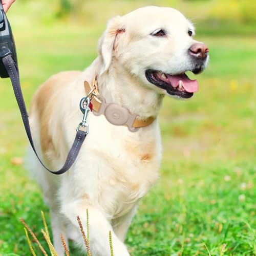 Vancle Wasserdicht Silikon Airtag Hülle, Hunde- und Katzenhalsbänder Kompatibel mit Apple AirTag GPS Finder Anti-Verlust Gerät 1 Stück Kratzfeste Schutzhülle für Air Tag Tracker