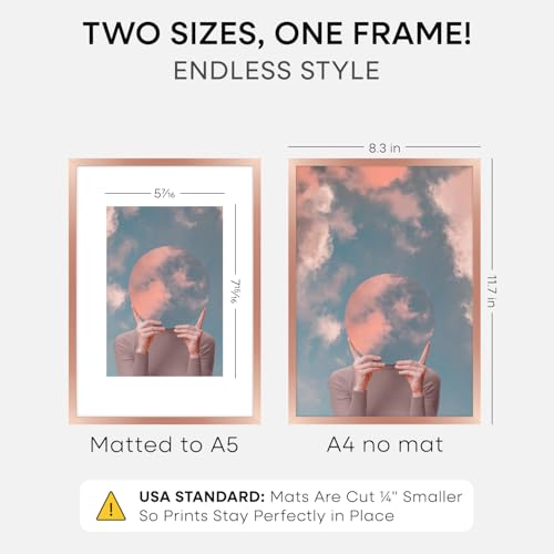 Image of Homeforia A4 Rose Picture Frame, High-End Metal, A5 Mat, Glass | High End Aluminum, Tempered Glass, Acid-Free A5 Removable Mat, A4 Edge-to-Edge Display, Wall Kit, Set Of 1